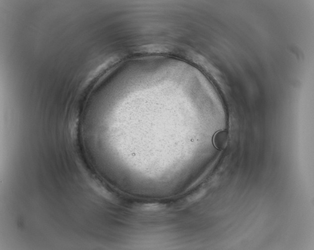 X0000113900153200910151404