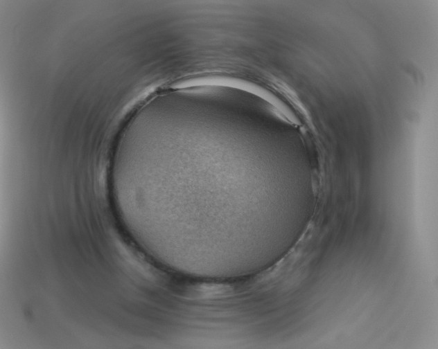 X0000113900154200910151404