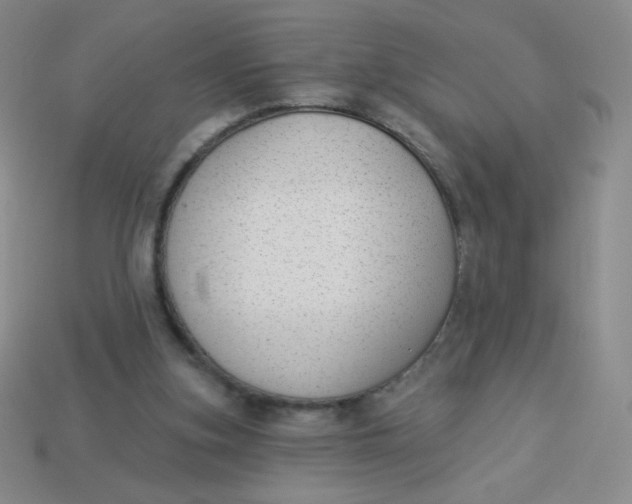 X0000113900155200910151404