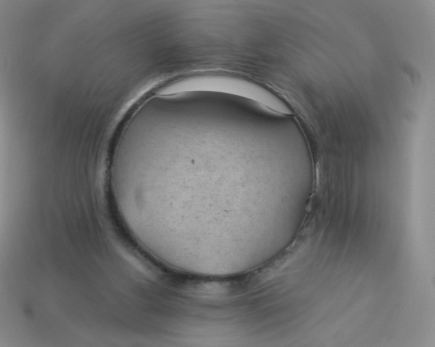 X0000113900156200910151404