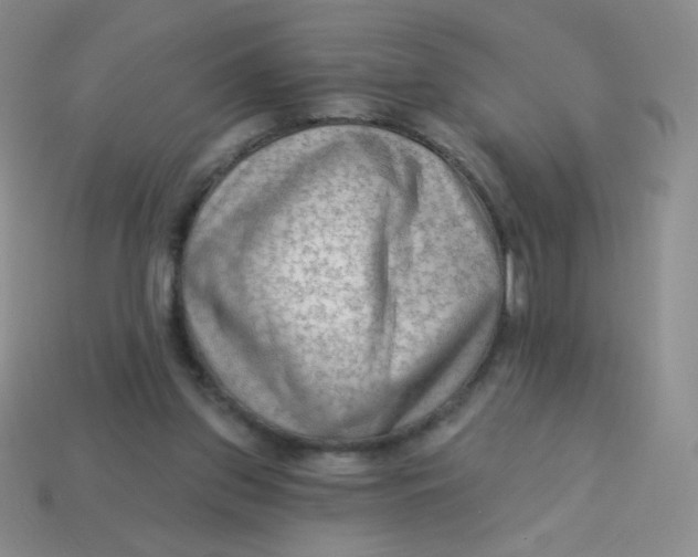 X0000113900157200910151404