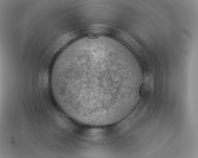 X0000113900158200910151404