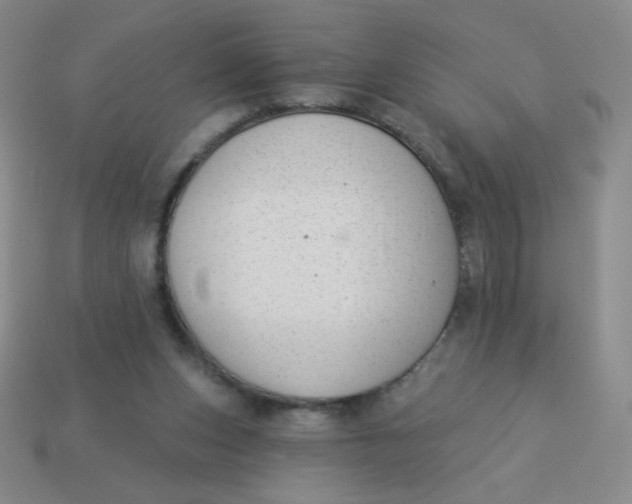 X0000113900159200910151404