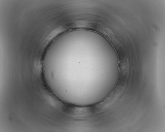 X0000113900160200910151404