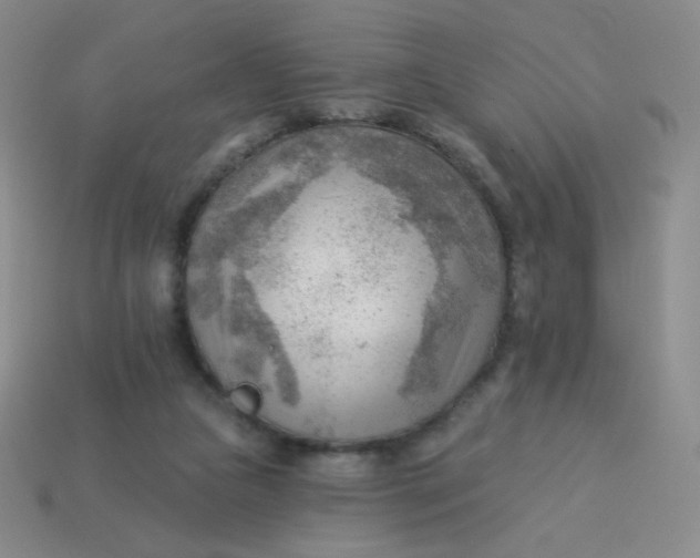 X0000113900161200910151404