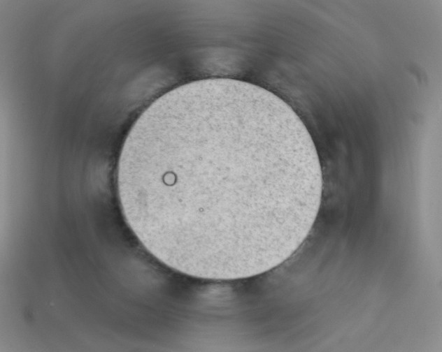 X0000113900162200910151404