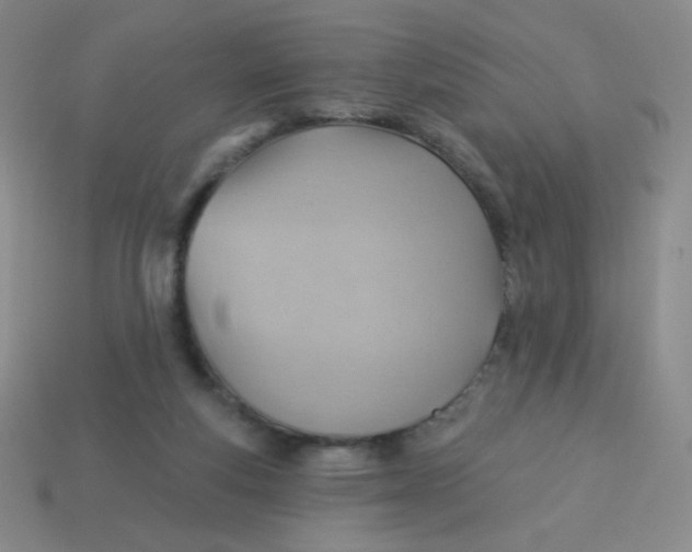 X0000113900163200910151404