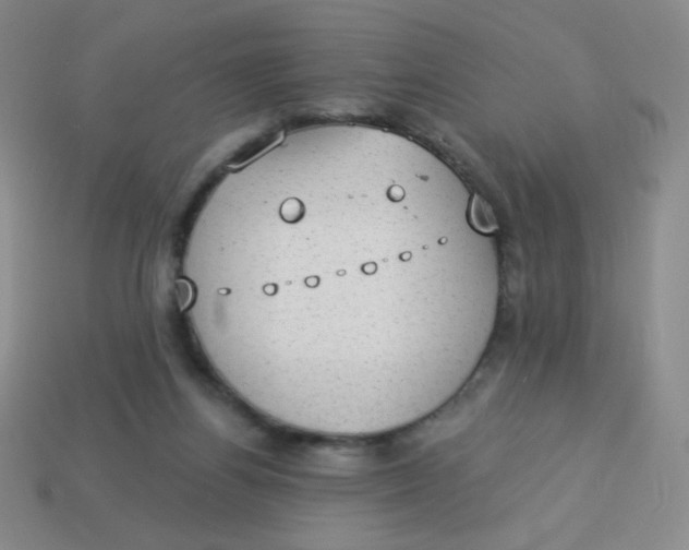 X0000113900164200910151404