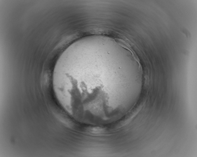 X0000113900165200910151404