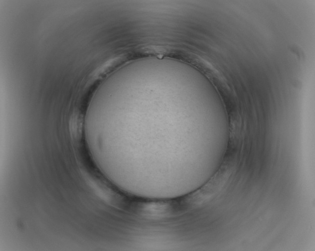 X0000113900168200910151404