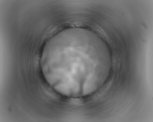 X0000113900169200910151404