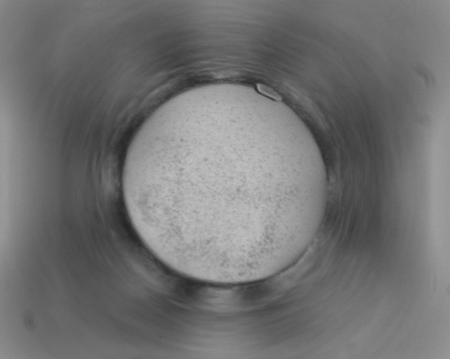 X0000113900170200910151404