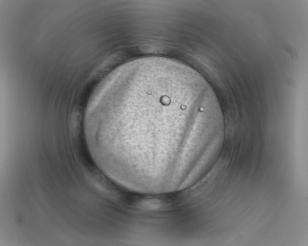 X0000113900171200910151404