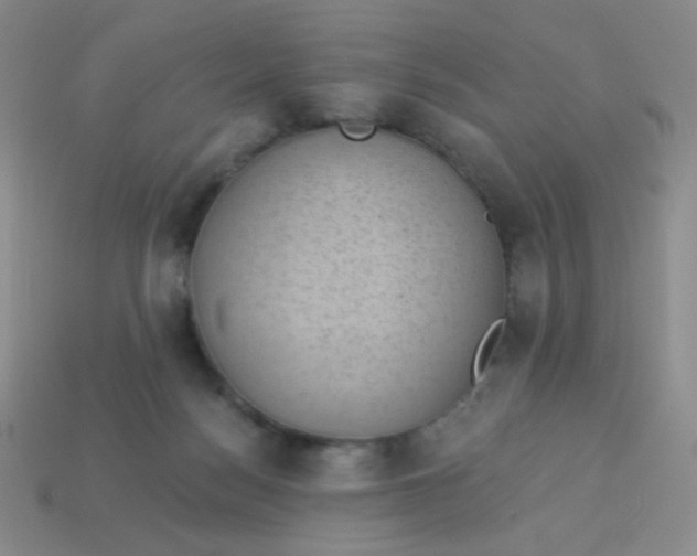 X0000113900172200910151404