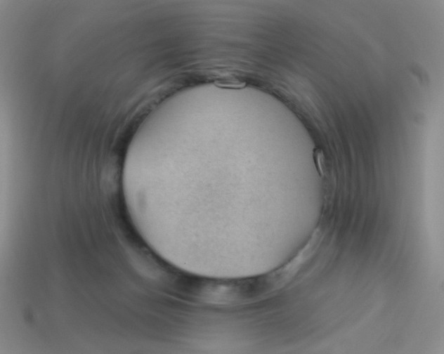 X0000113900174200910151404