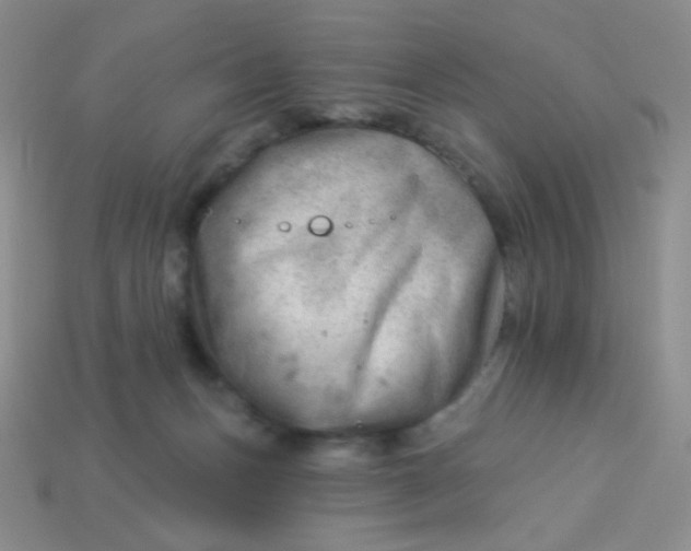 X0000113900175200910151404