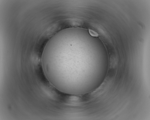 X0000113900176200910151404