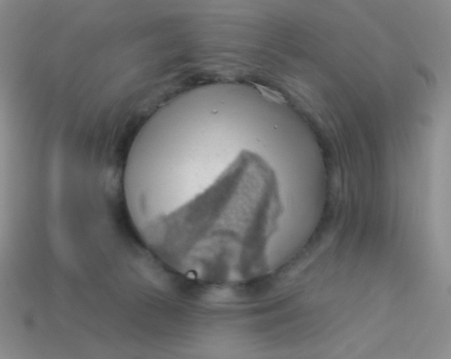 X0000113900177200910151404