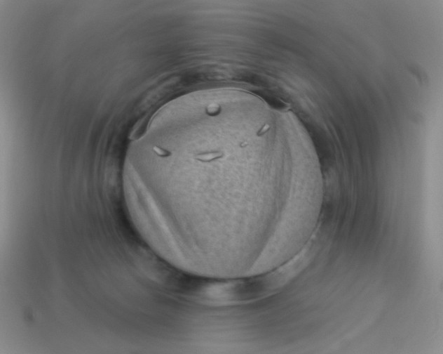 X0000113900178200910151404