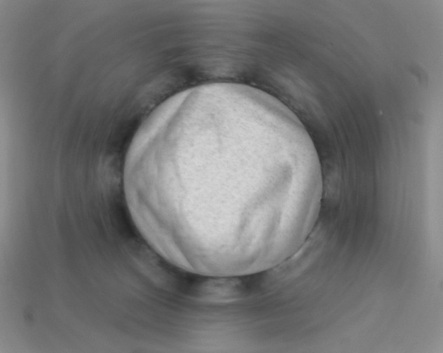 X0000113900179200910151404