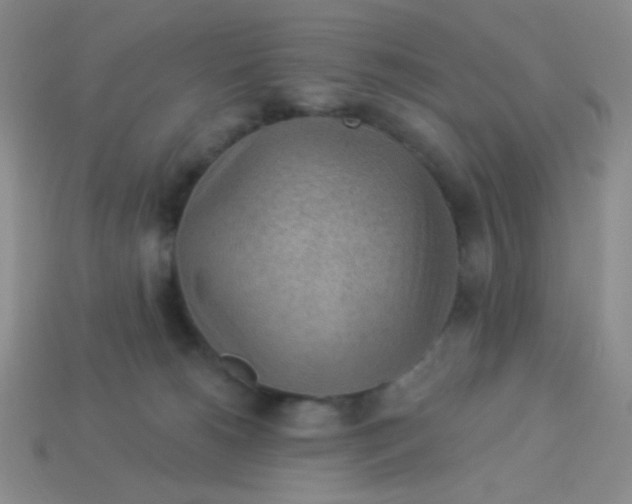 X0000113900180200910151404