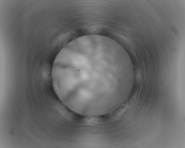 X0000113900181200910151404