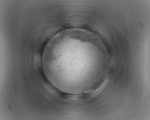 X0000113900182200910151404