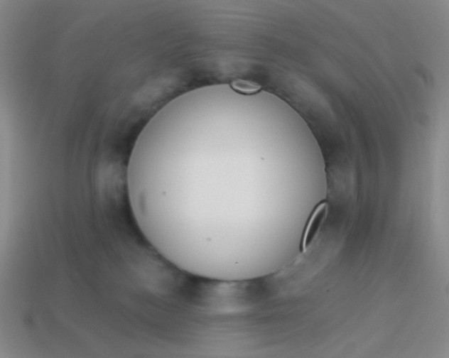 X0000113900184200910151404