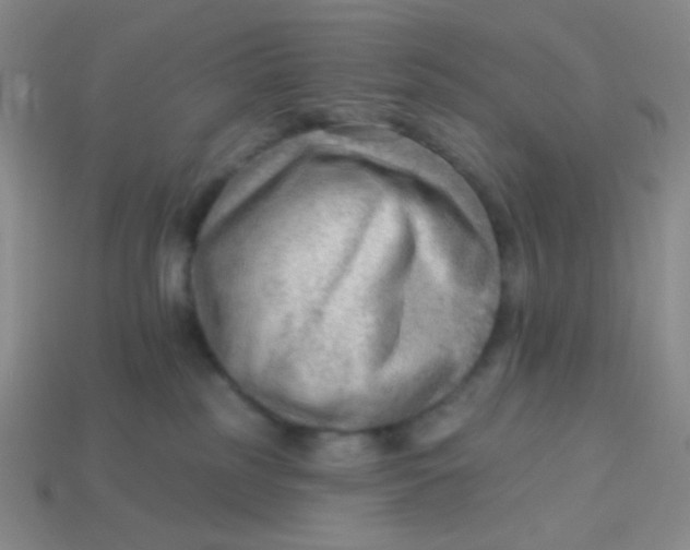 X0000113900185200910151404