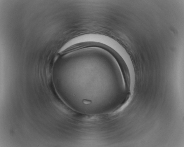 X0000113900186200910151404