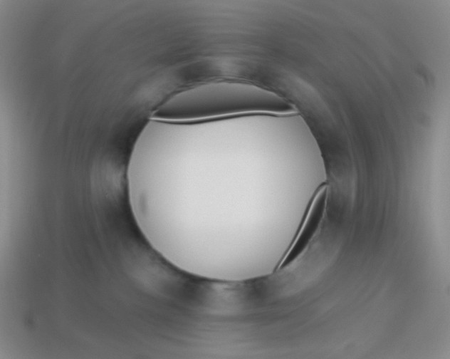 X0000113900188200910151404