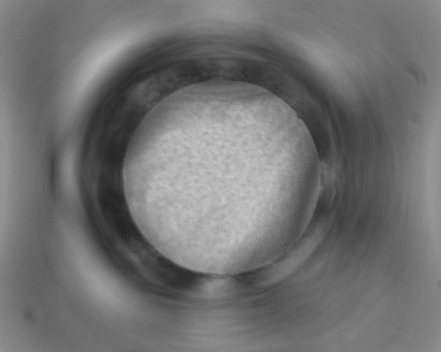 X0000113900189200910151404