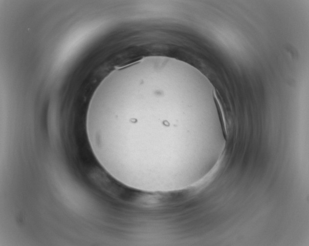 X0000113900190200910151404