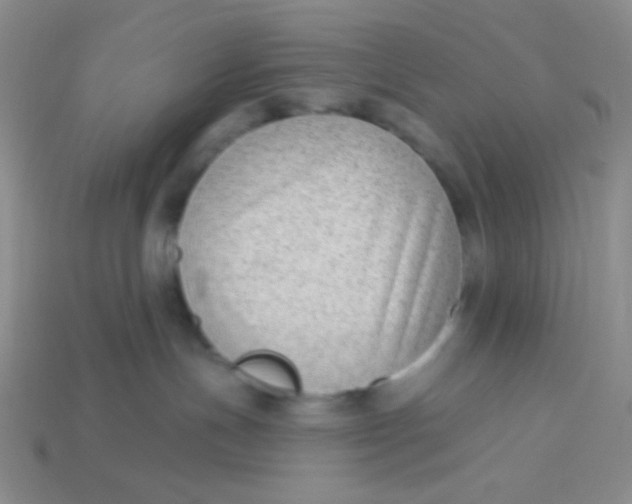 X0000113900191200910151404