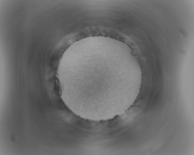 X0000113900192200910151404