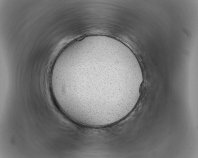 X0000113900193200910151404