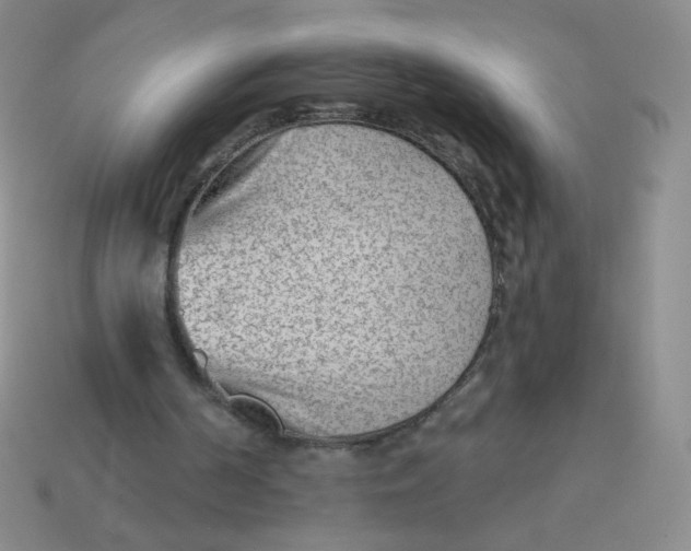 X0000113900194200910151404