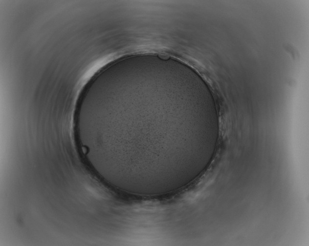 X0000113900196200910151404