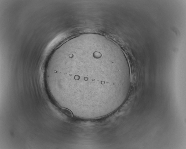 X0000113900197200910151403