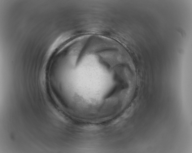 X0000113900198200910151403