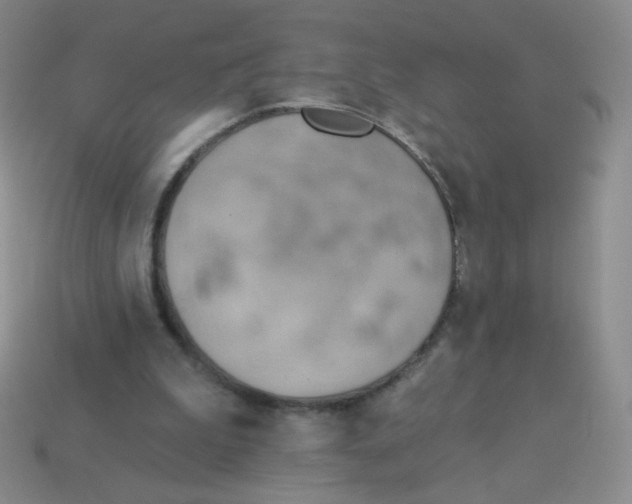 X0000113900199200910151403