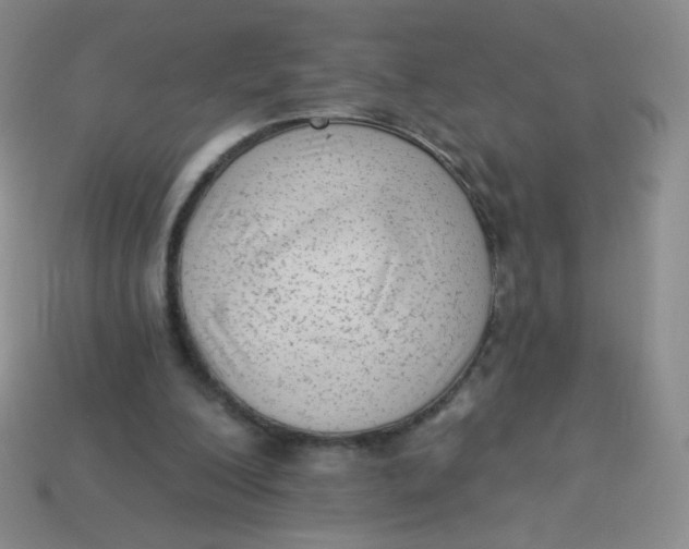 X0000113900200200910151403