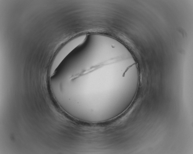 X0000113900201200910151403