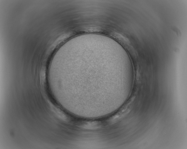 X0000113900202200910151403