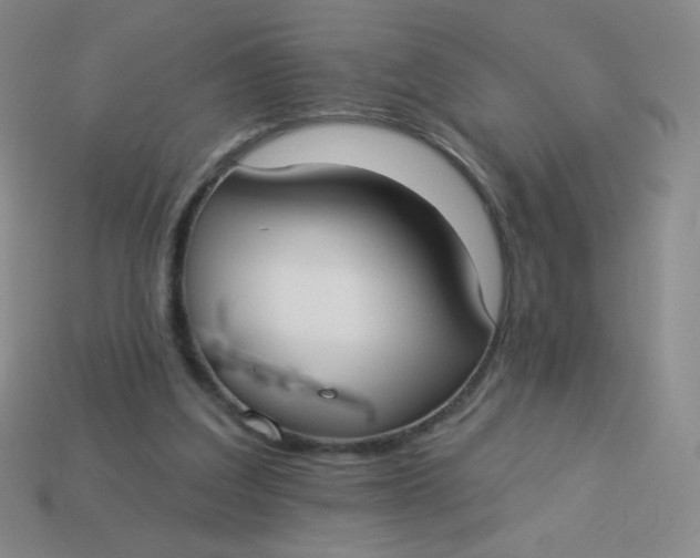 X0000113900203200910151403