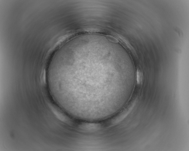 X0000113900205200910151403