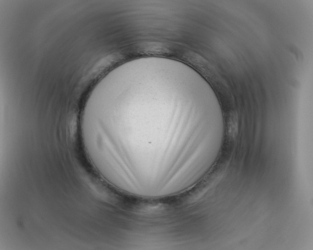 X0000113900206200910151403