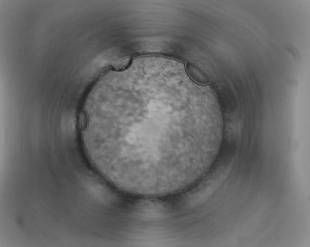 X0000113900207200910151403