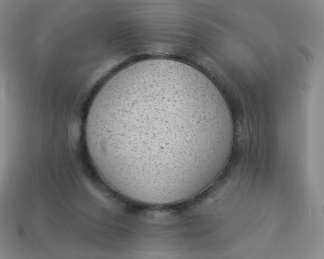 X0000113900208200910151403