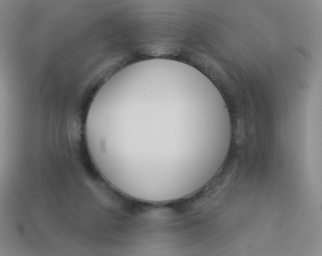 X0000113900210200910151403